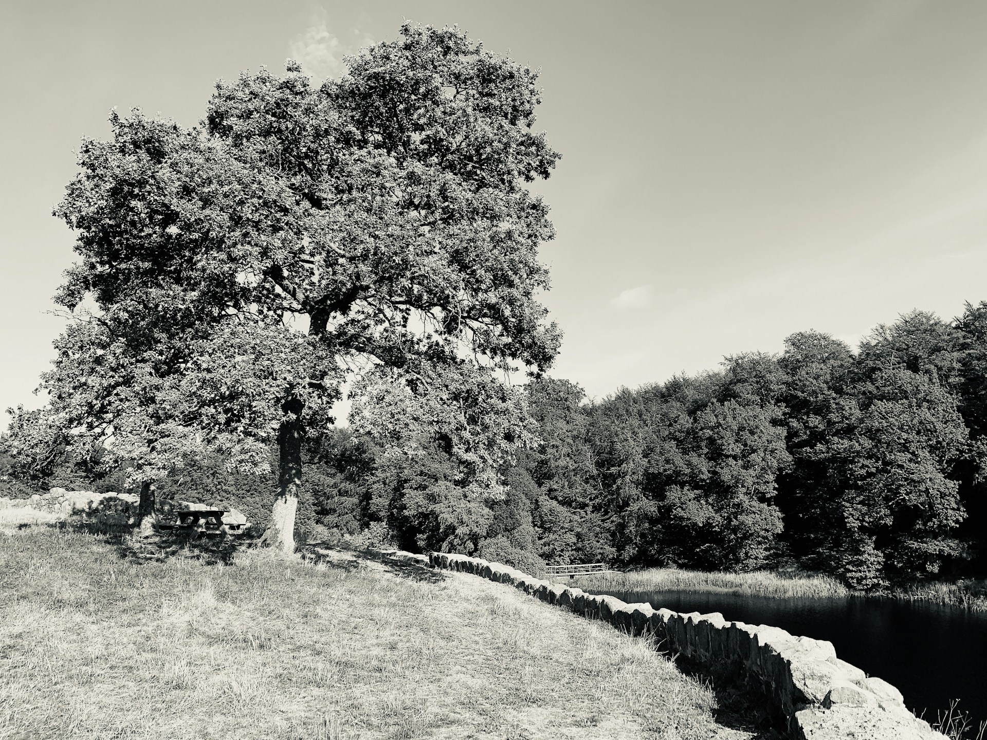 woman wearing yellow long-sleeved dress under white clouds and blue sky during daytime