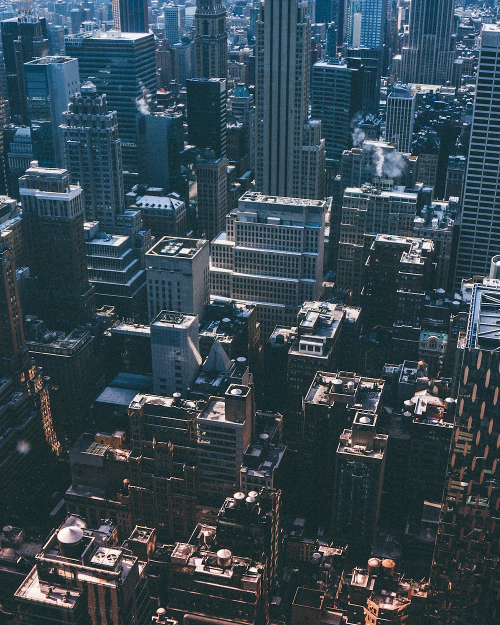 white and black concrete buildings at daytime