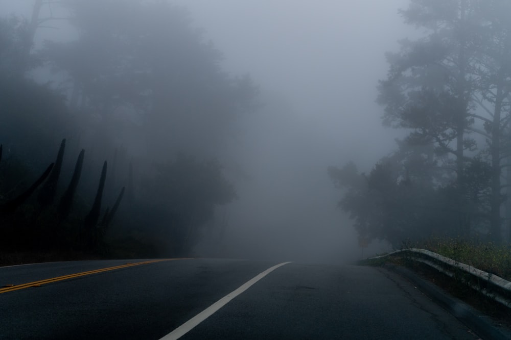grey road between trees