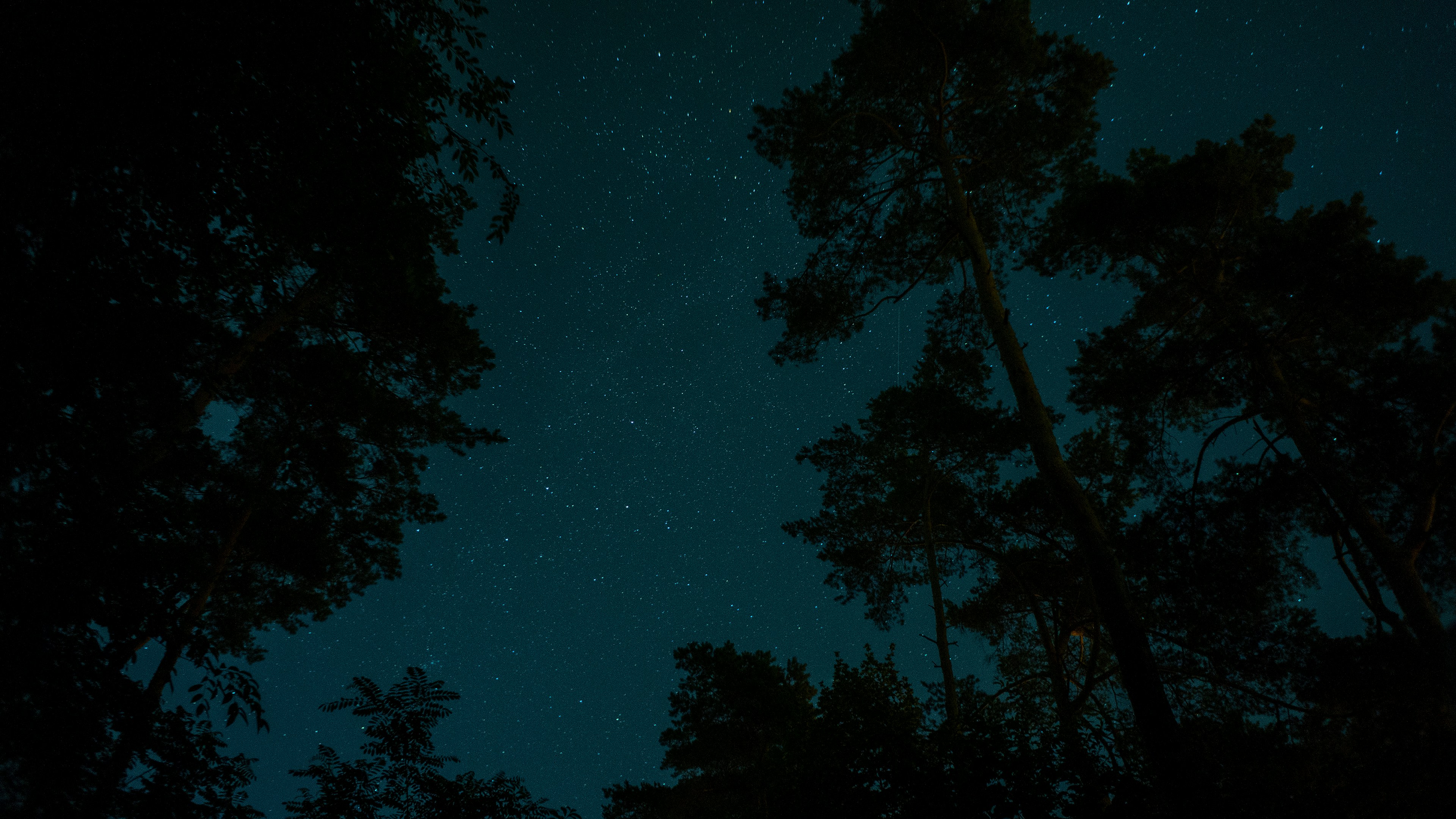 Photo by zdzieblowski