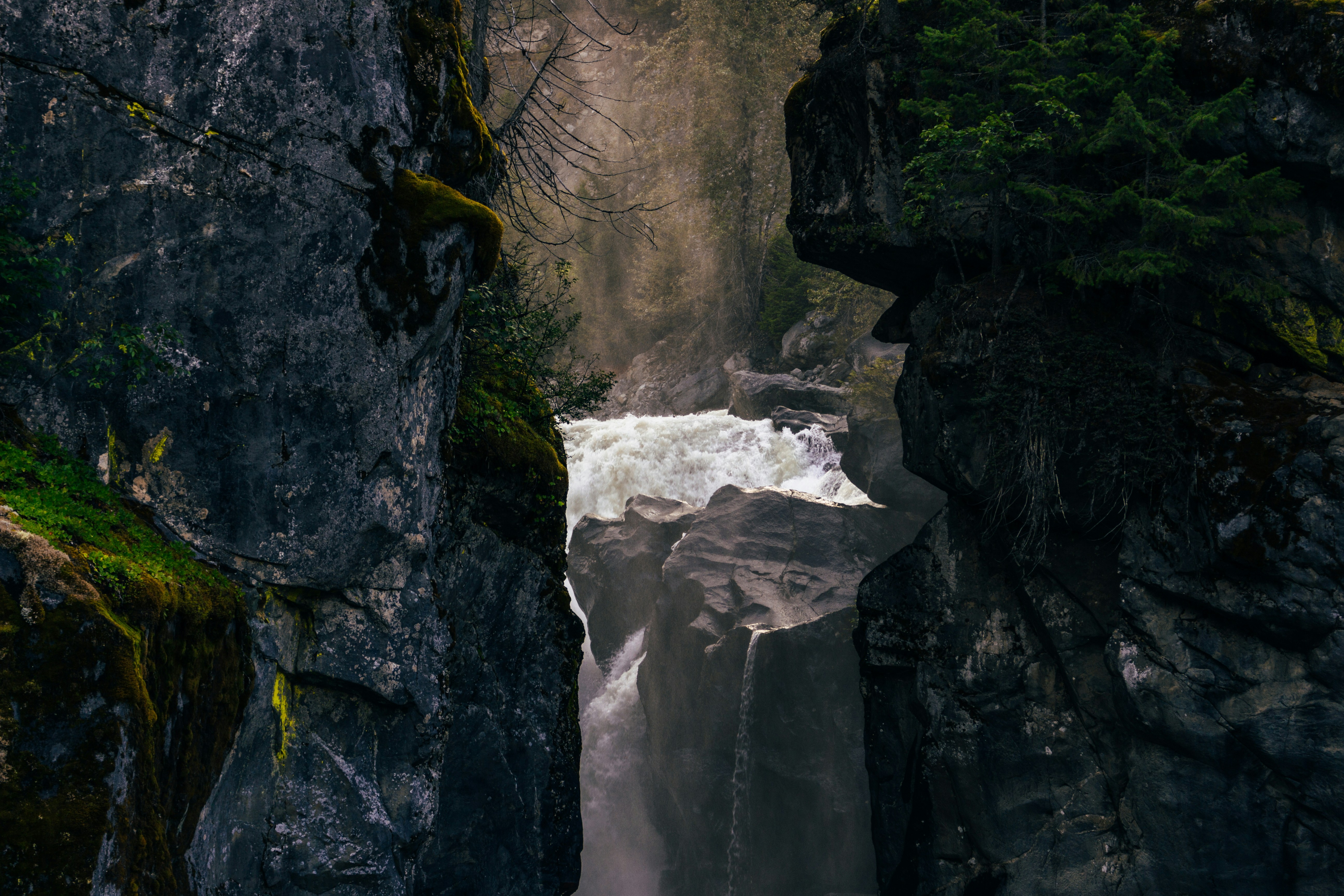 a waterfall in the middle of a forest