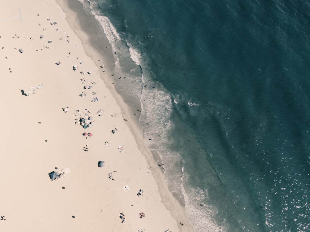 aerial photography body of water