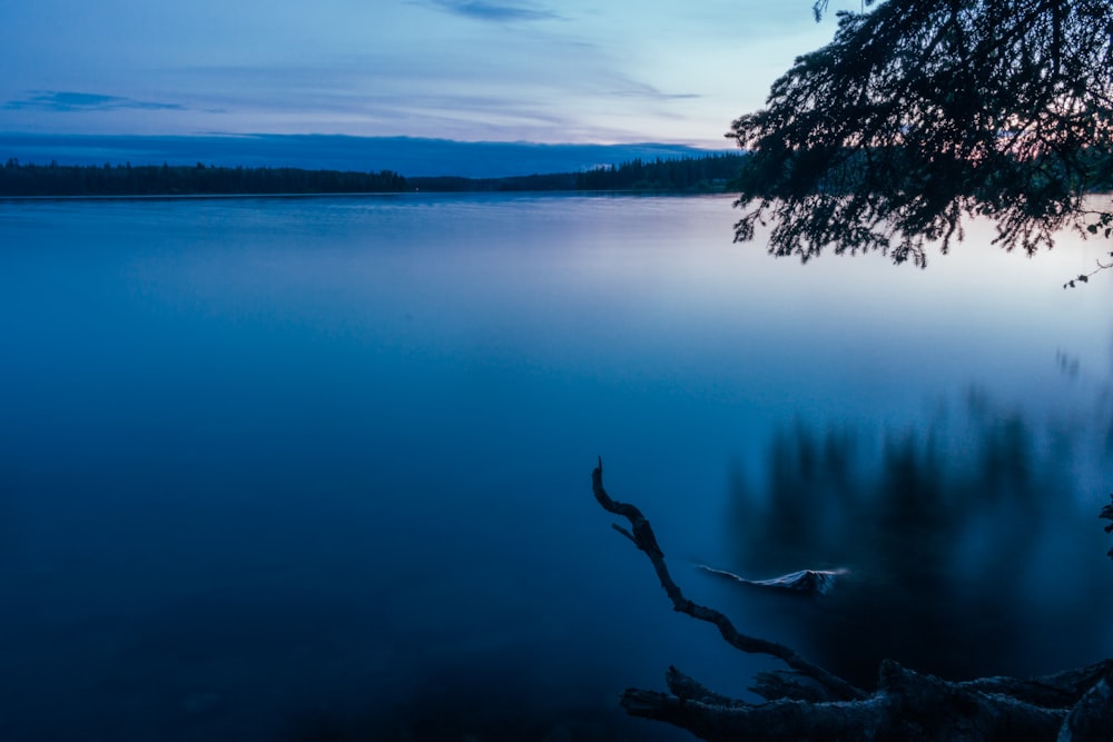 body of water during daytime