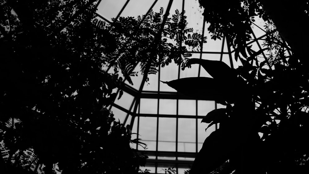 a view of the top of a building through the branches of a tree