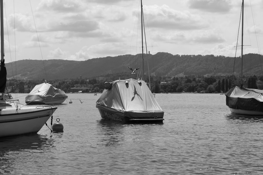 boats on body of water near land