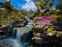 waterfall between trees