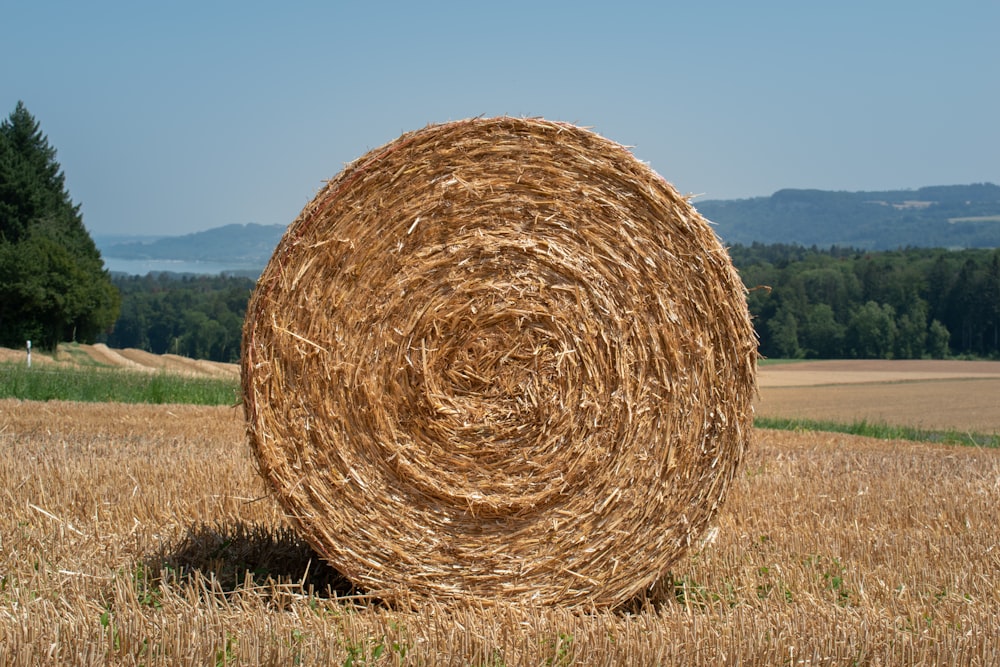 round hay roll during daytime