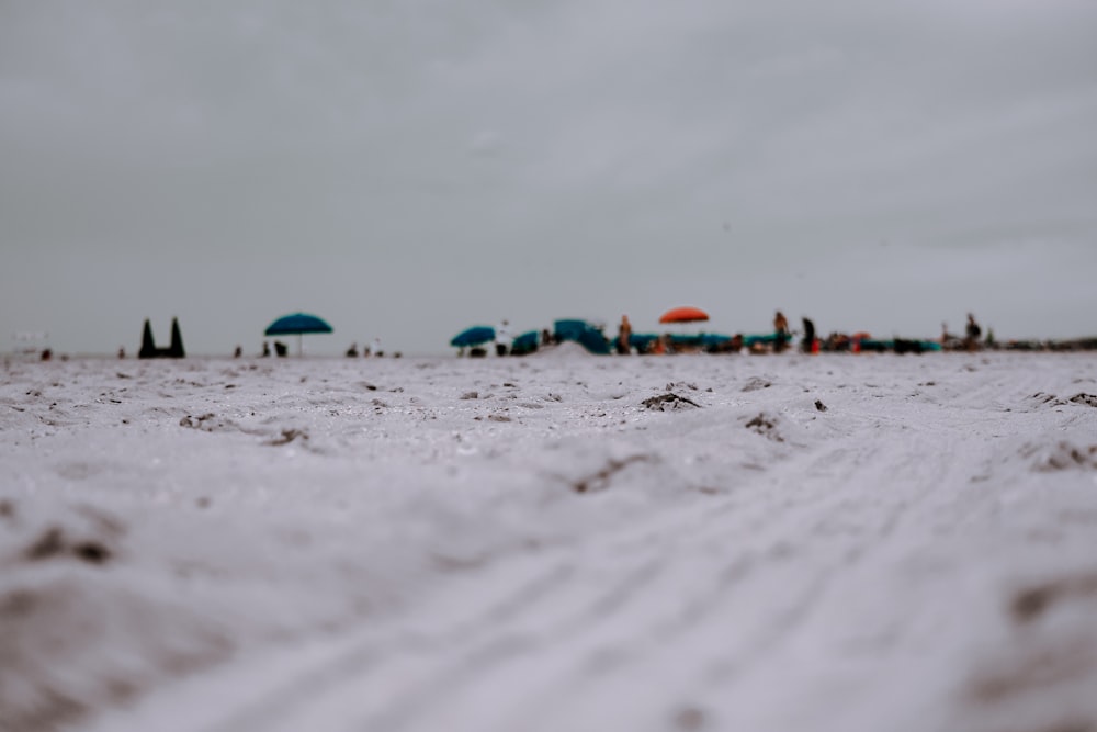 low-angle photo of white sand beach with view of beach umbrellas