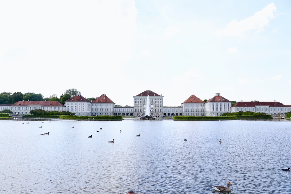 white houses near body of water