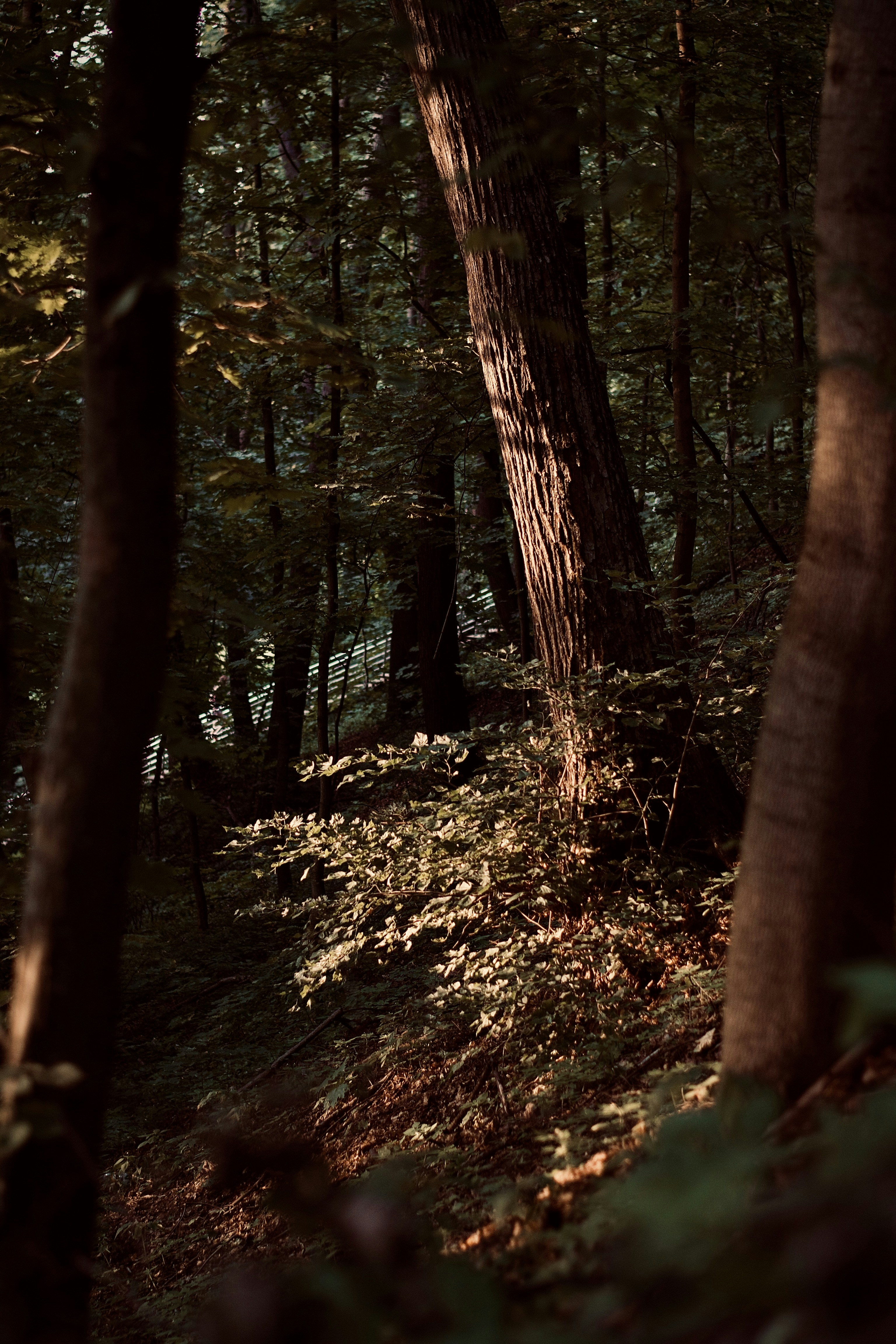 Photo by anton_nazaretian