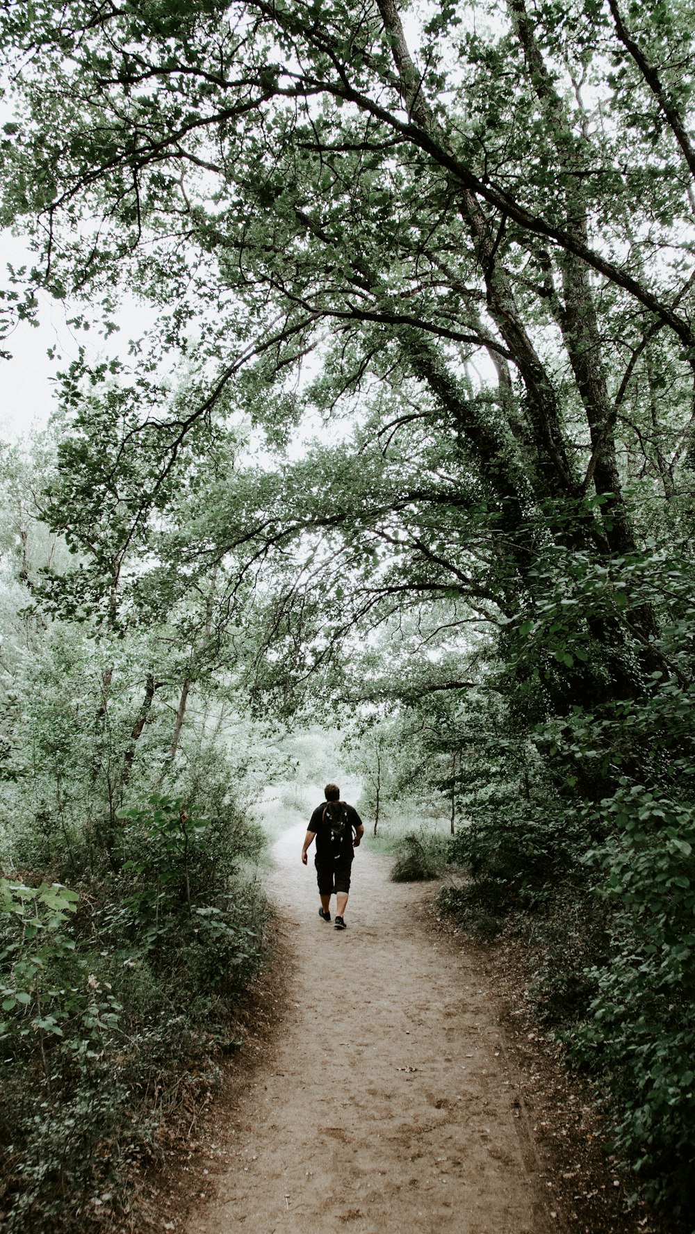 man walking near trees