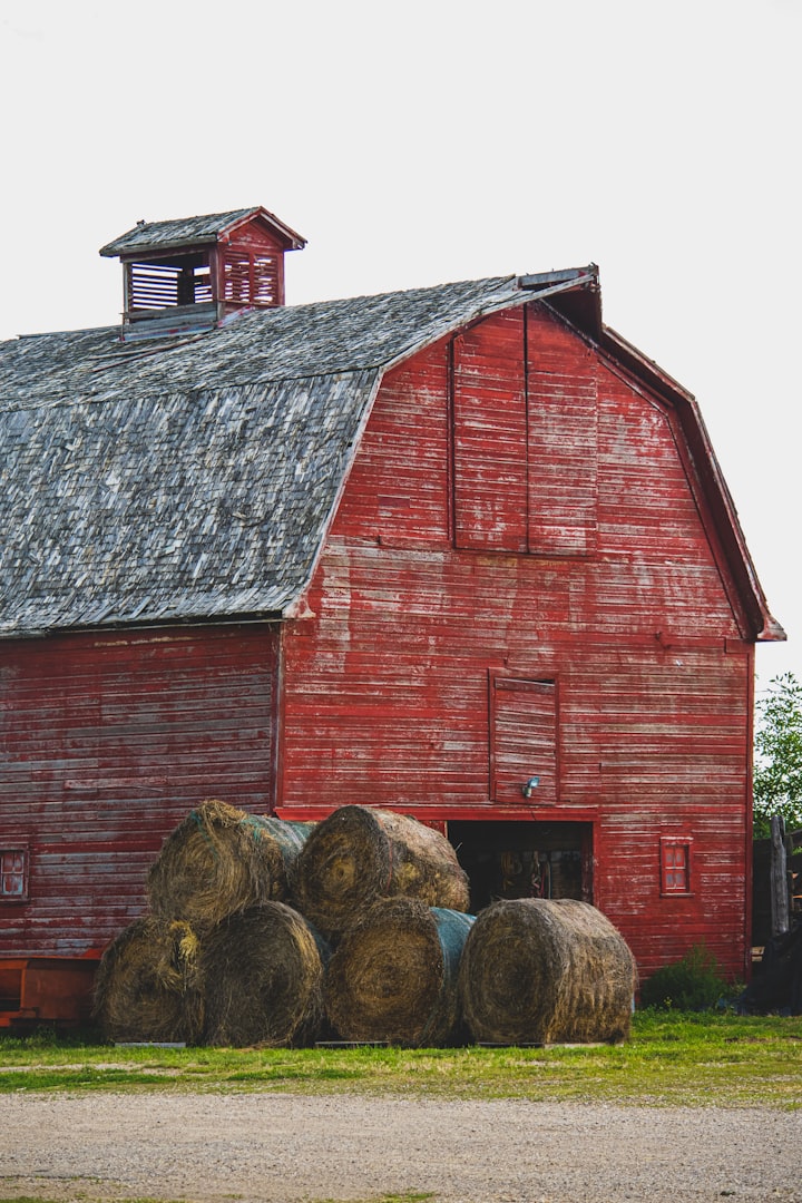 The Barn