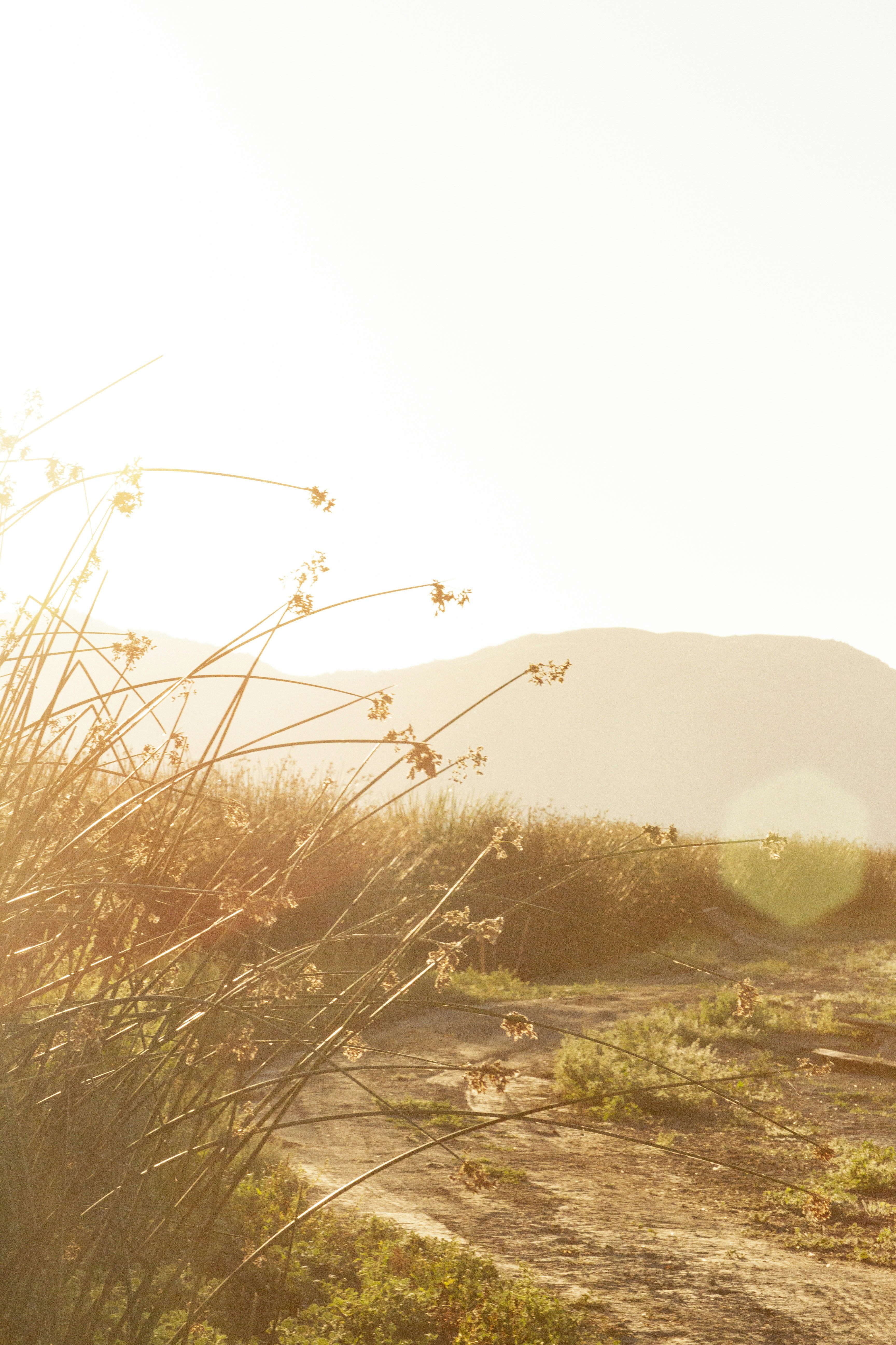 Photo by matti_johnson