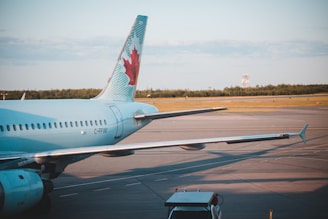 An airplane is parked on an airport tarmac with a wing prominently visible. The aircraft's tail features a distinctive logo of a red maple leaf on a blue and white background. The surrounding area is open with distant trees and a cloudy sky.