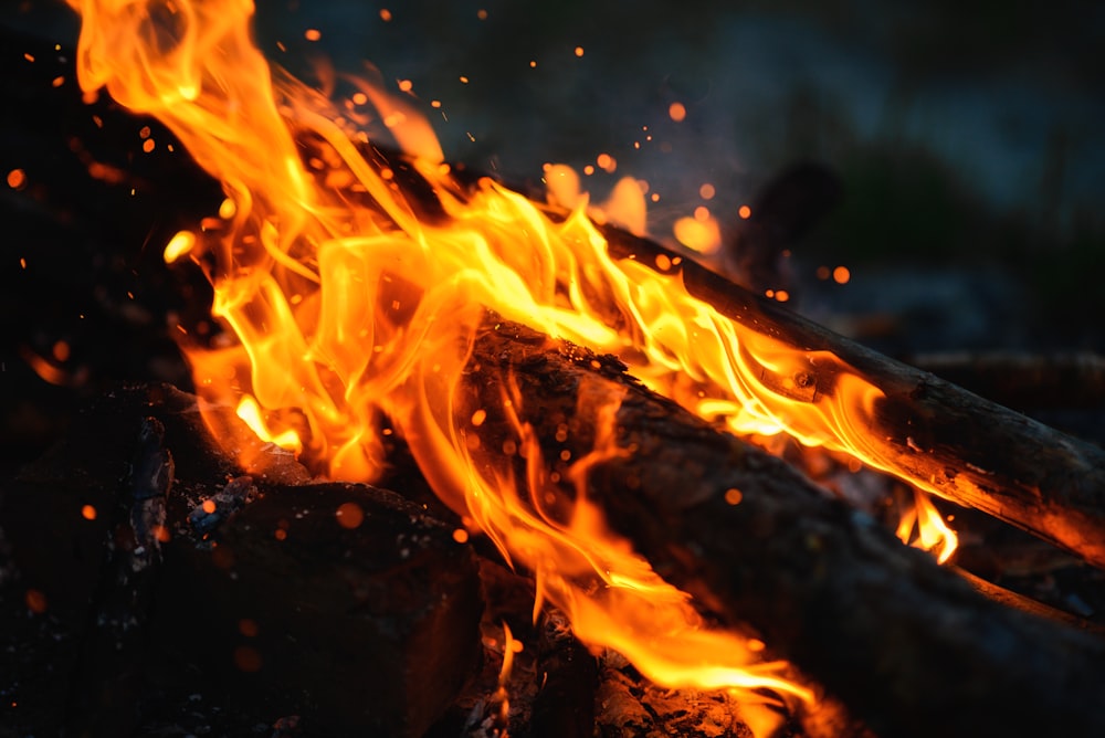 burning wood close-up photography