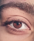 A close-up of a human eye with detailed focus on the iris, eyelashes, and eyebrow. The skin texture and individual eyebrow hairs are visible, highlighting intricate details.