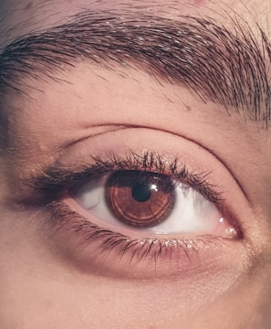 A close-up of a human eye with detailed focus on the iris, eyelashes, and eyebrow. The skin texture and individual eyebrow hairs are visible, highlighting intricate details.