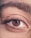 human eye