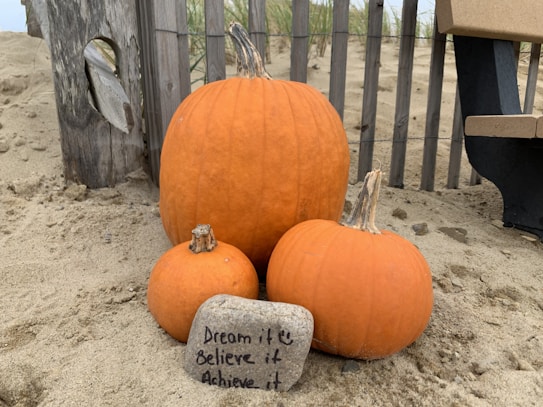Three pumpkins of varying sizes are placed on the sandy ground next to a wooden fence. A bench is visible to the right. A stone with the message 'Dream it, Believe it, Achieve it' is positioned in front of the pumpkins.