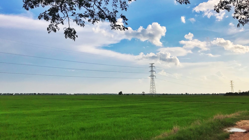 green grass field under white clouds and blue sky during daytime