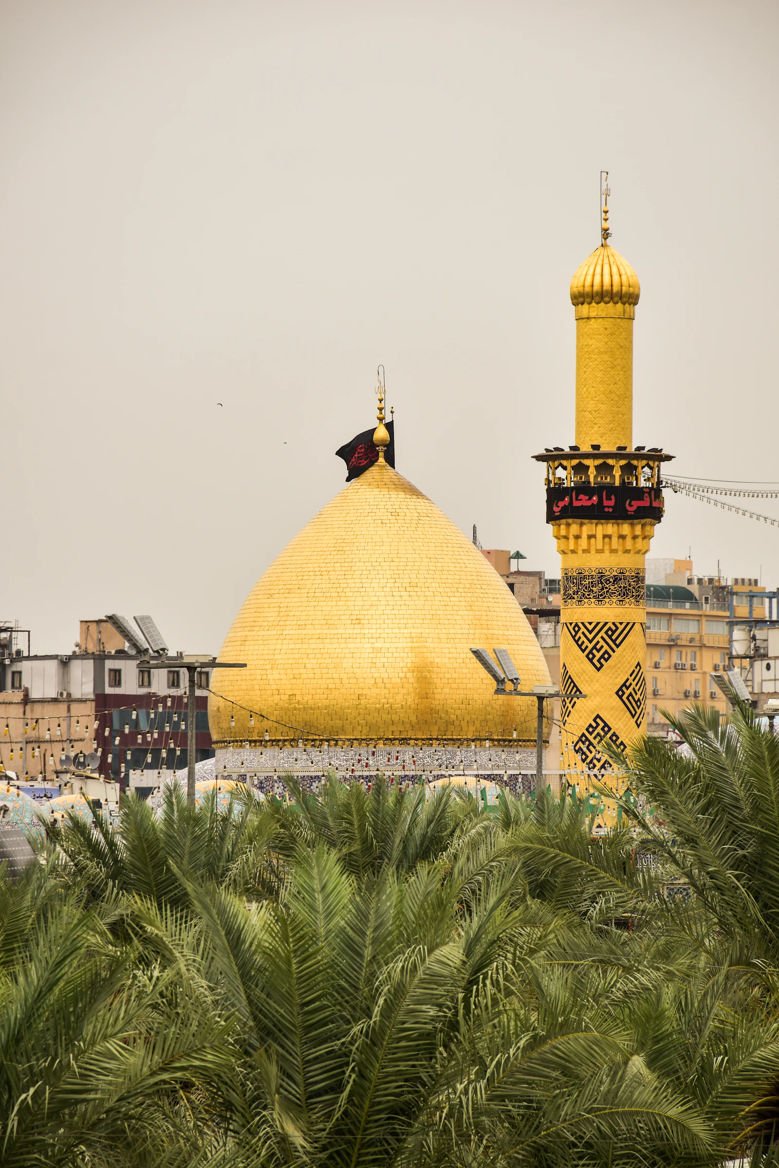 The golden dome and minaret of the shrine rising above the palms