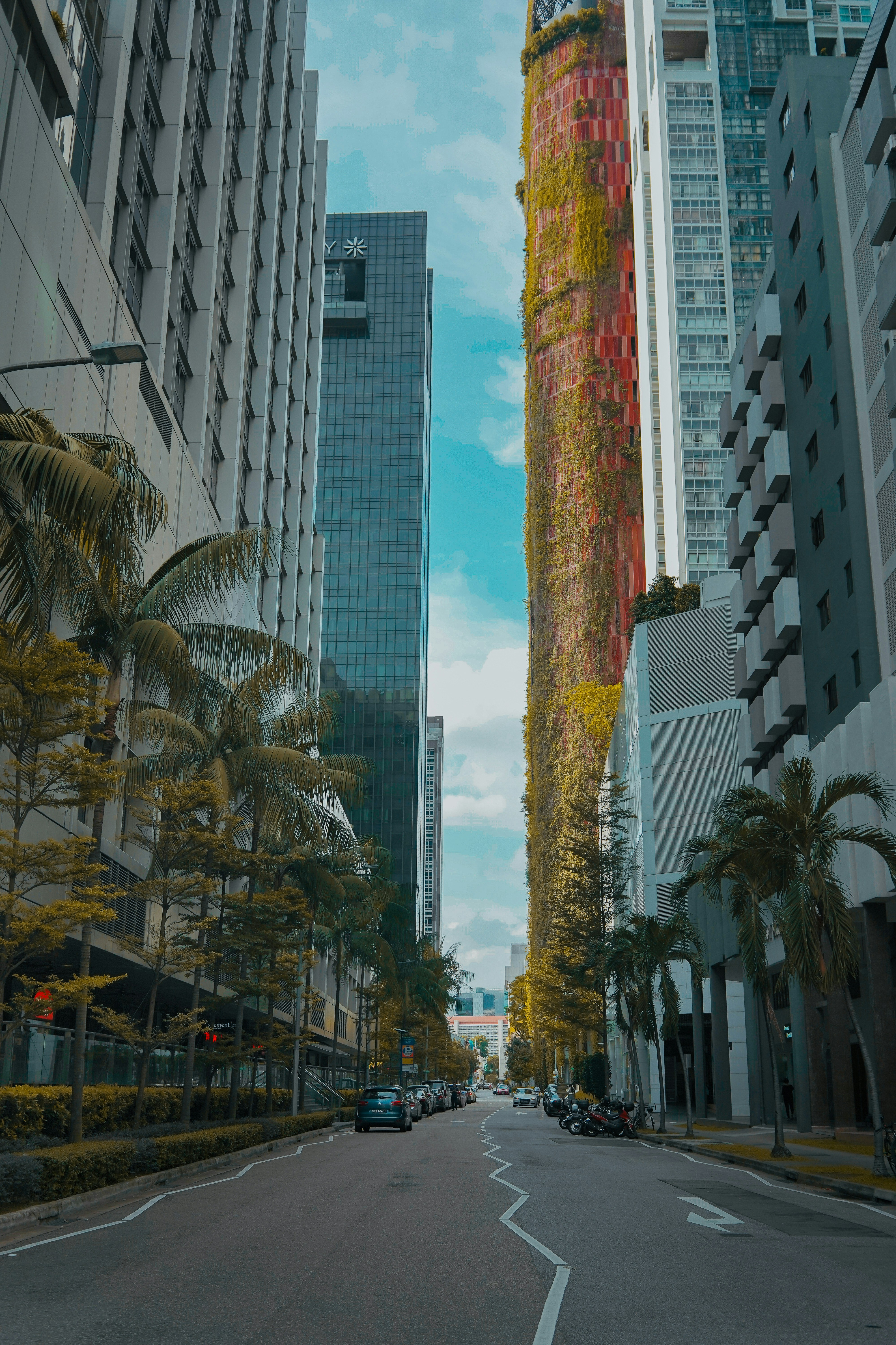 Photo by eugeniaclara