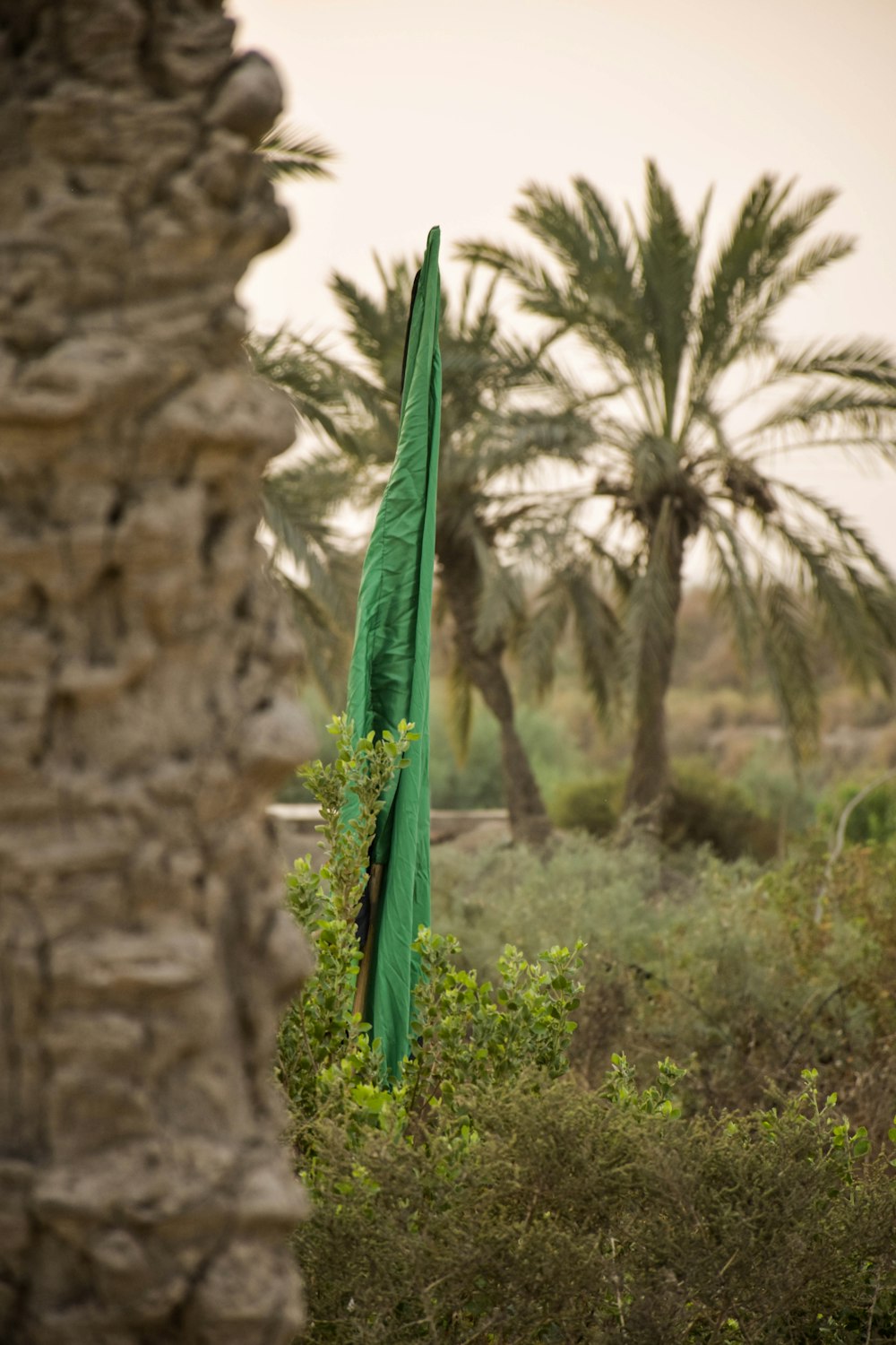 green textile outdoor during daytime close-up photography