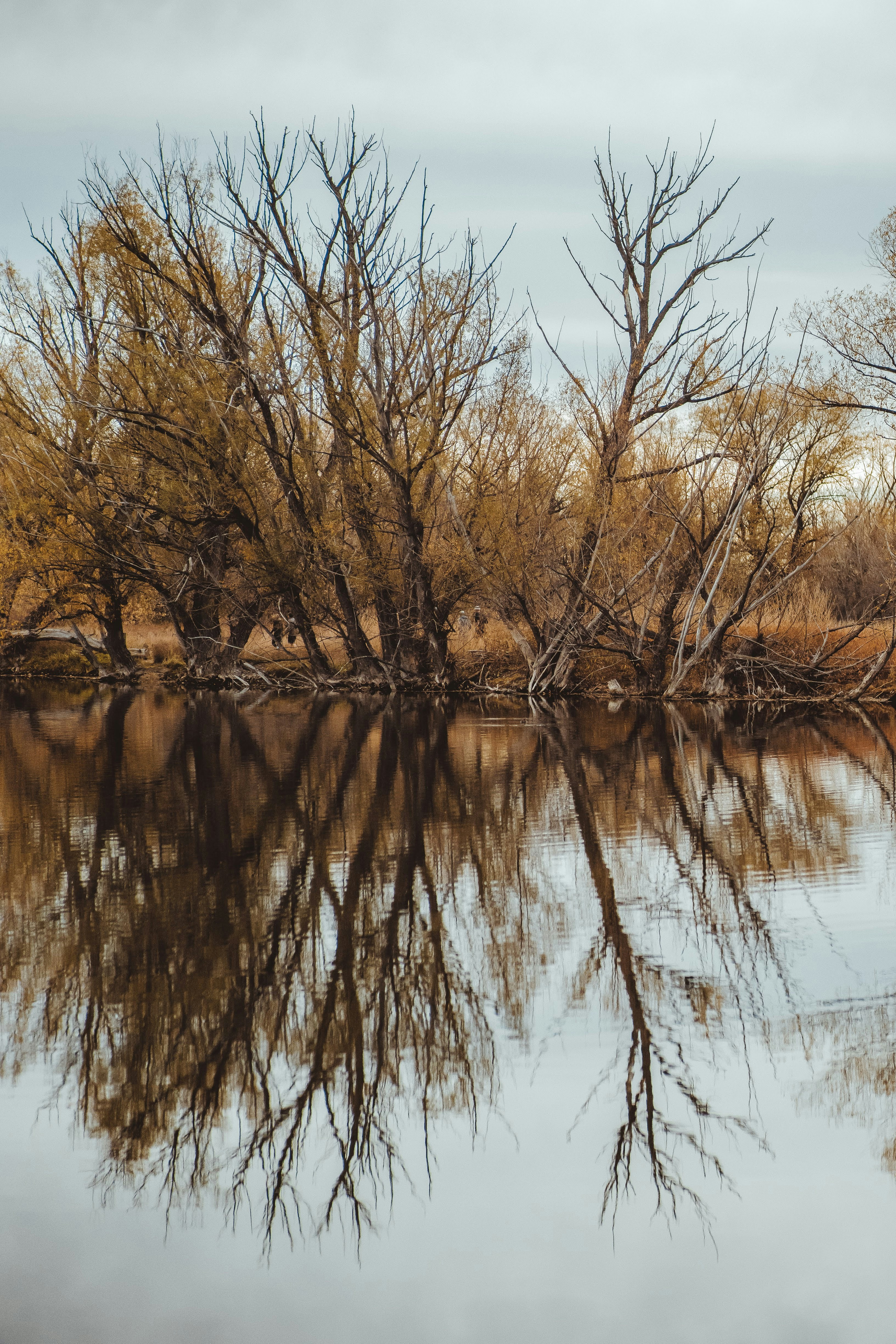 Photo by lucadpphoto