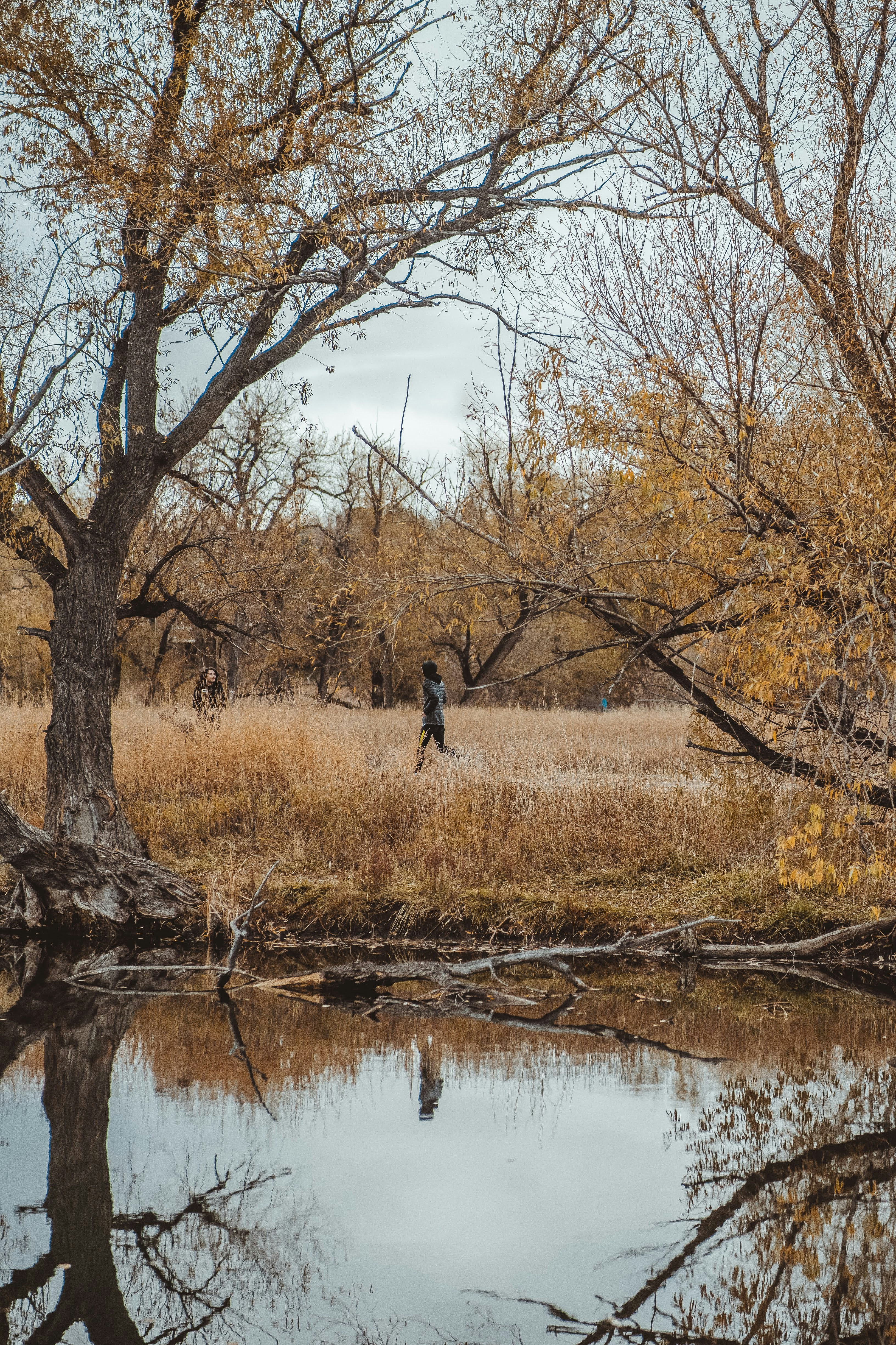 Photo by lucadpphoto