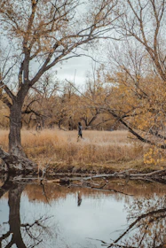 A serene image of a person enjoying a healthy outdoor walk in nature.