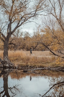 A serene morning scene of a middle-aged person enjoying a peaceful walk in nature, embodying health and well-being.