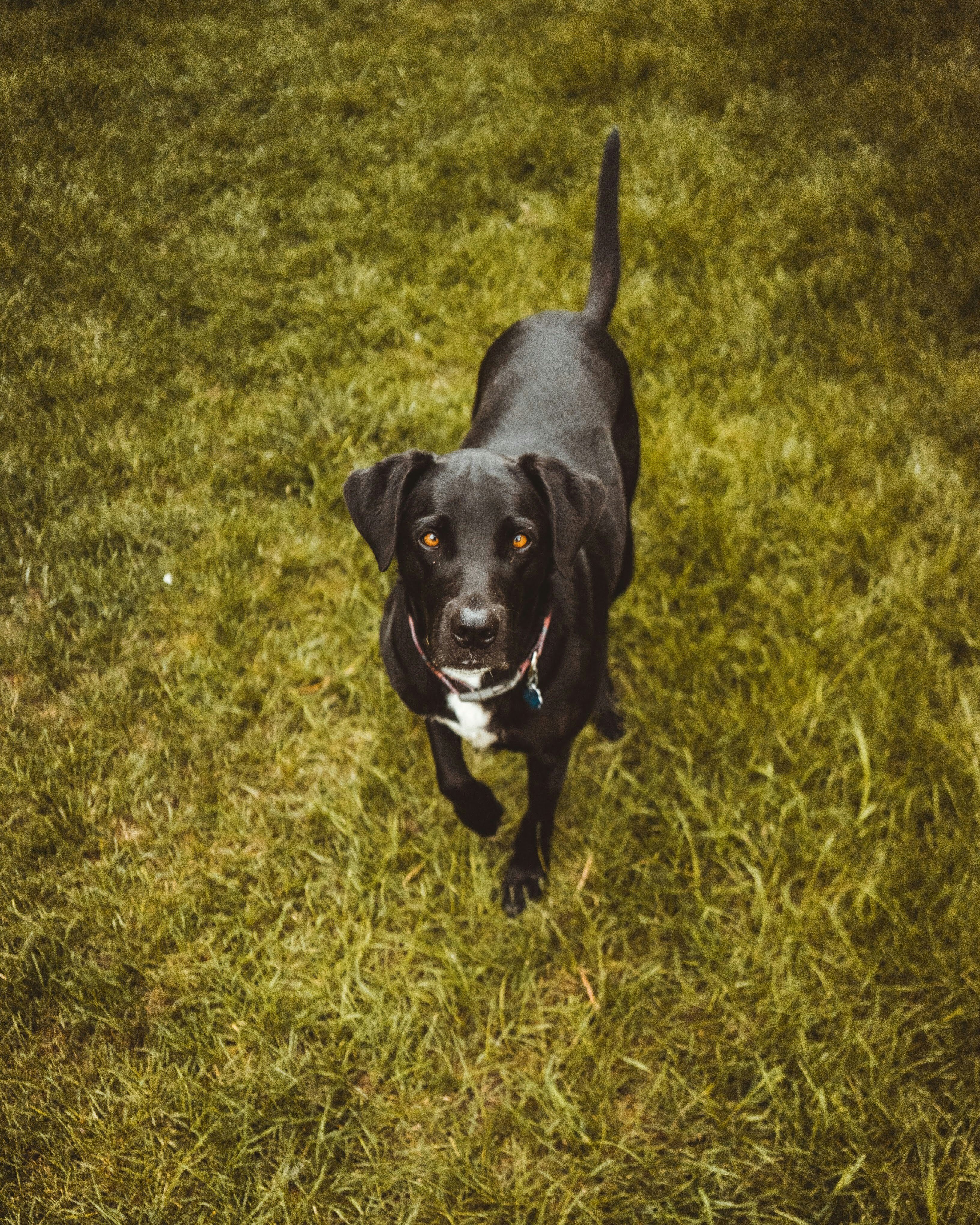 Photo by lucadpphoto