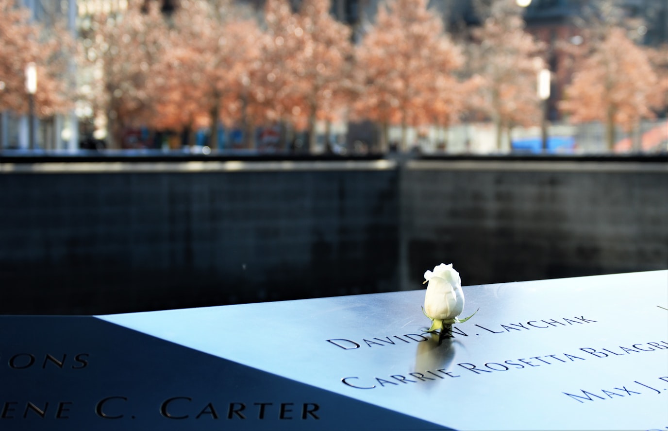 Memorial Pool Parapet with White Rose; 9/11 Memorial