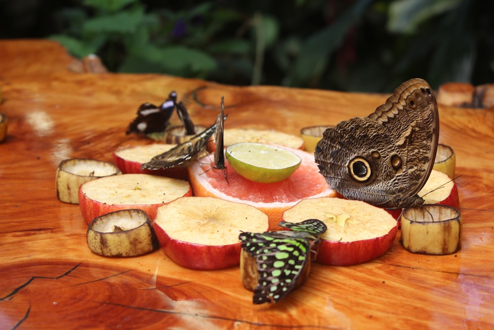 a butterfly sitting on top of a piece of fruit