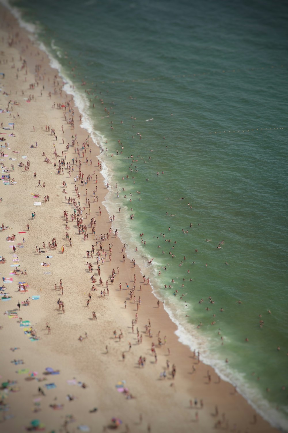 people on shore