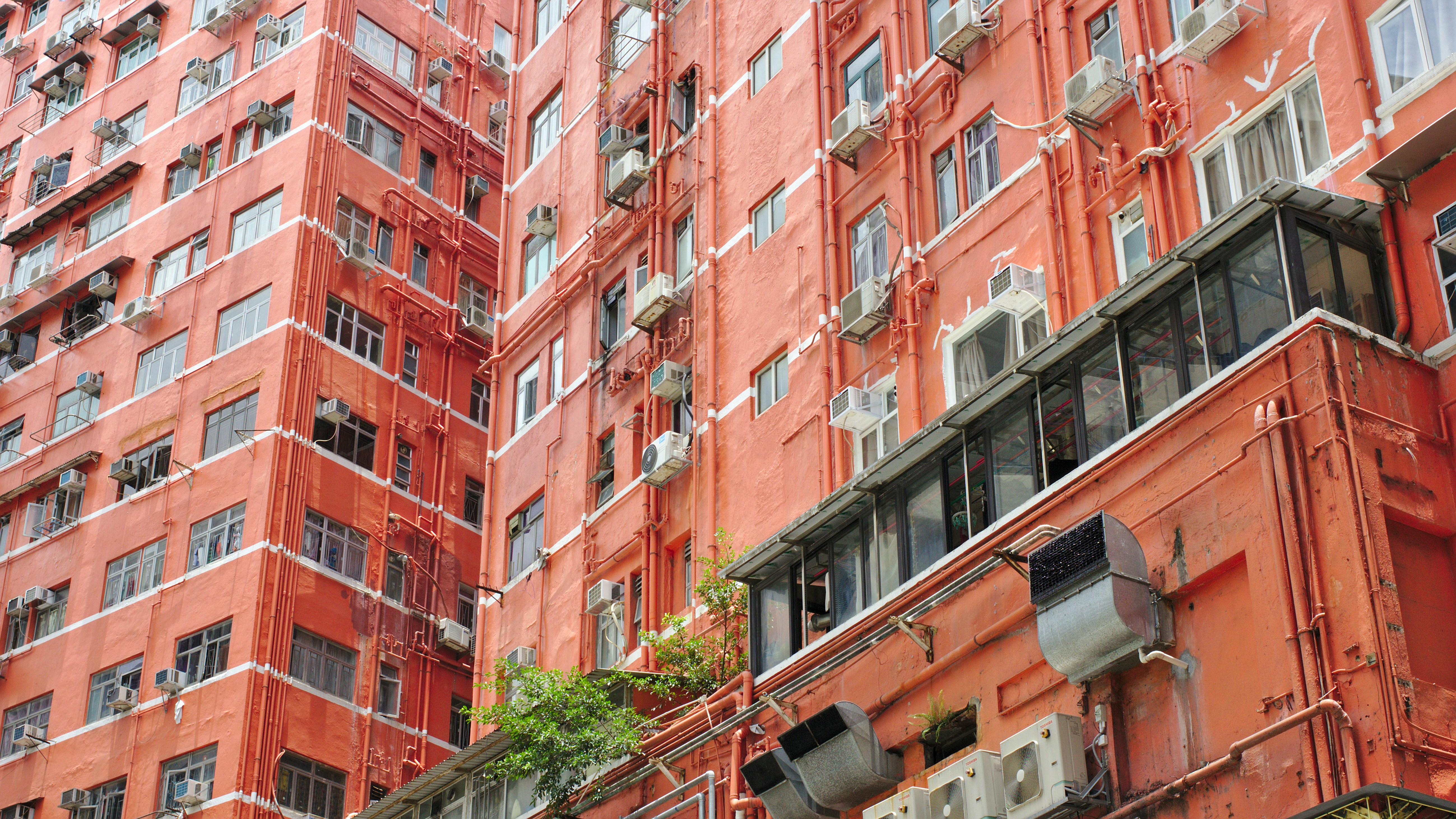 Photo by chromatograph