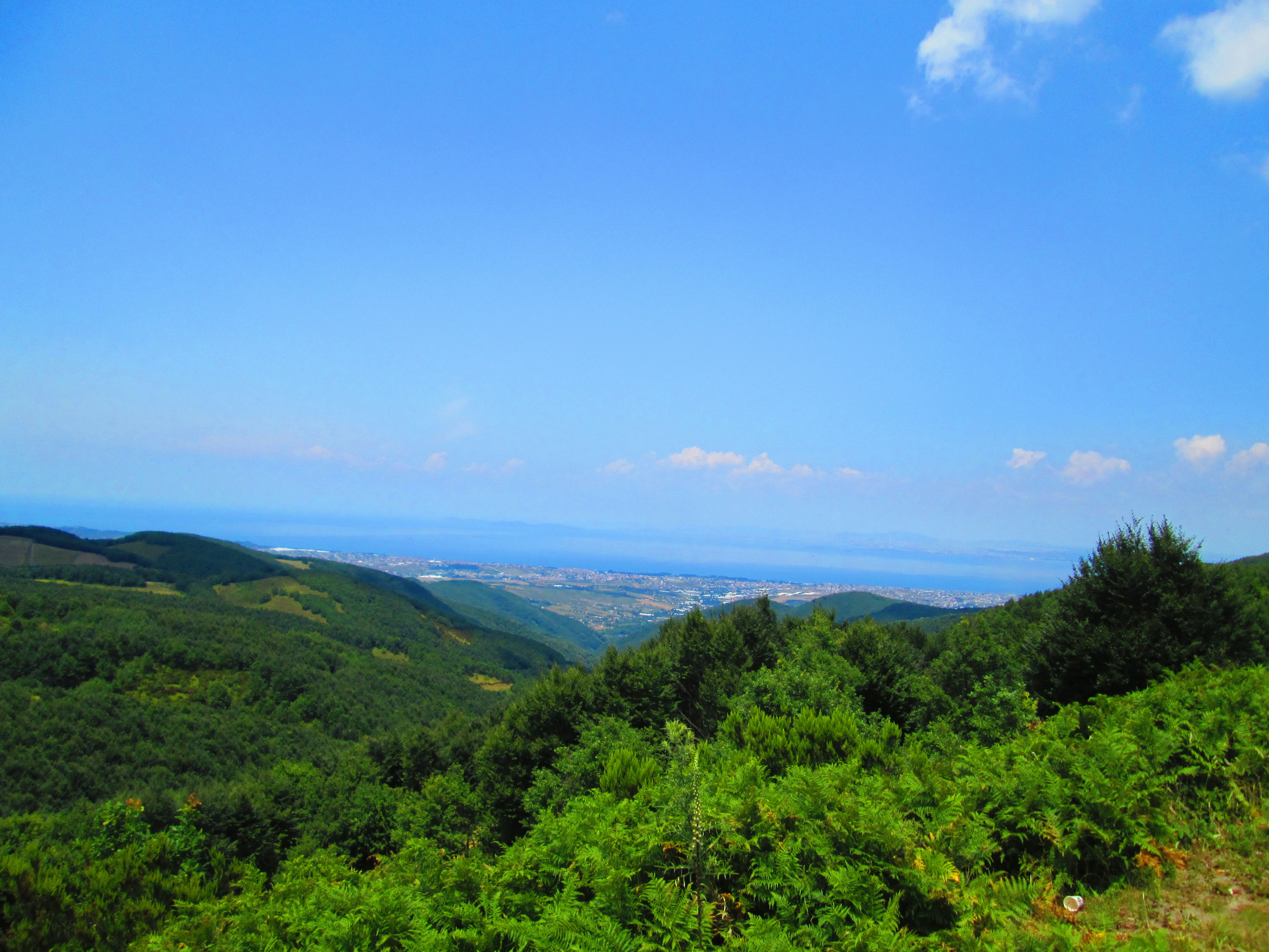 Photo by alpersentekin