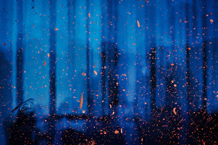 Complex choices in a uncertain environment