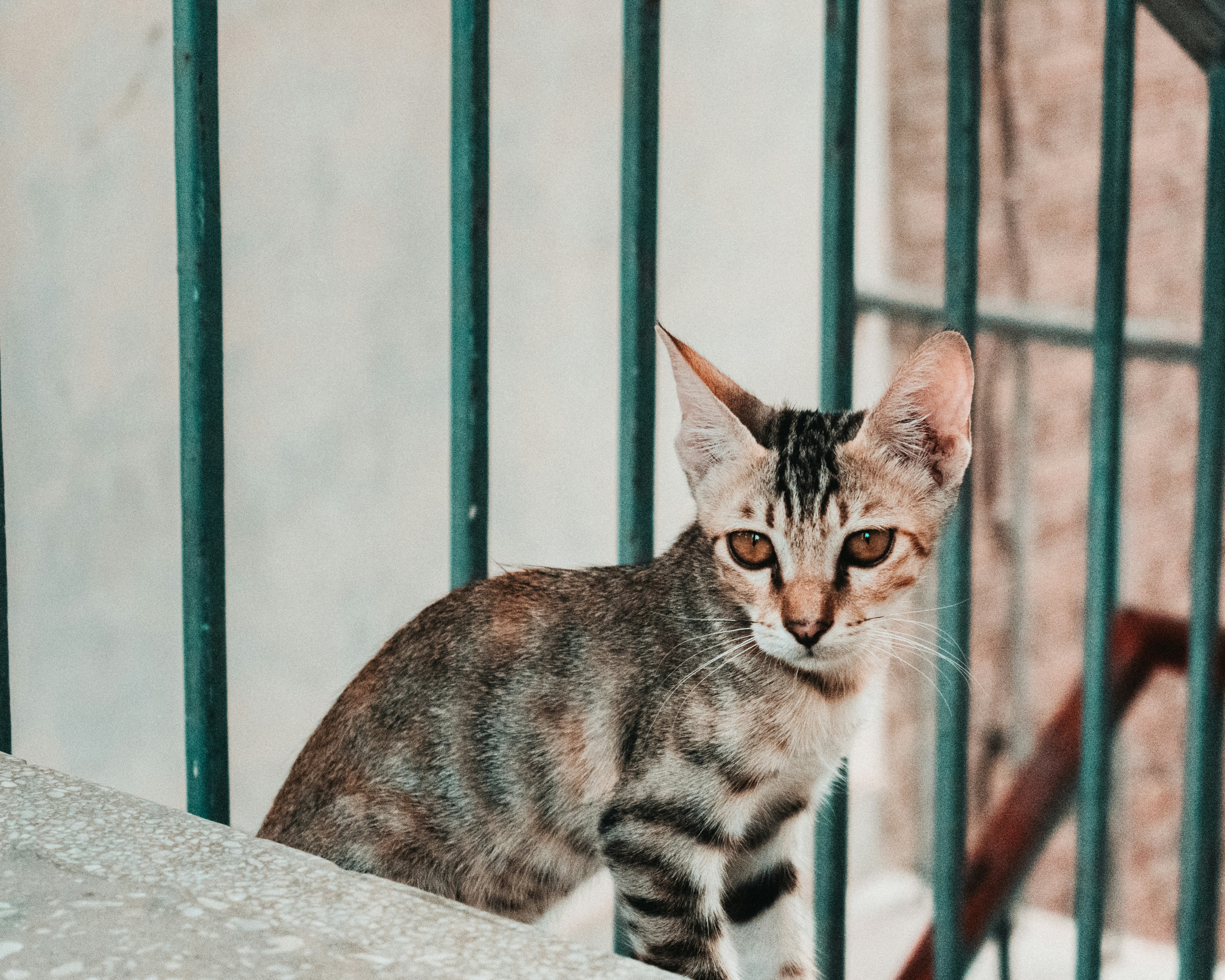 Photo by limitlessali