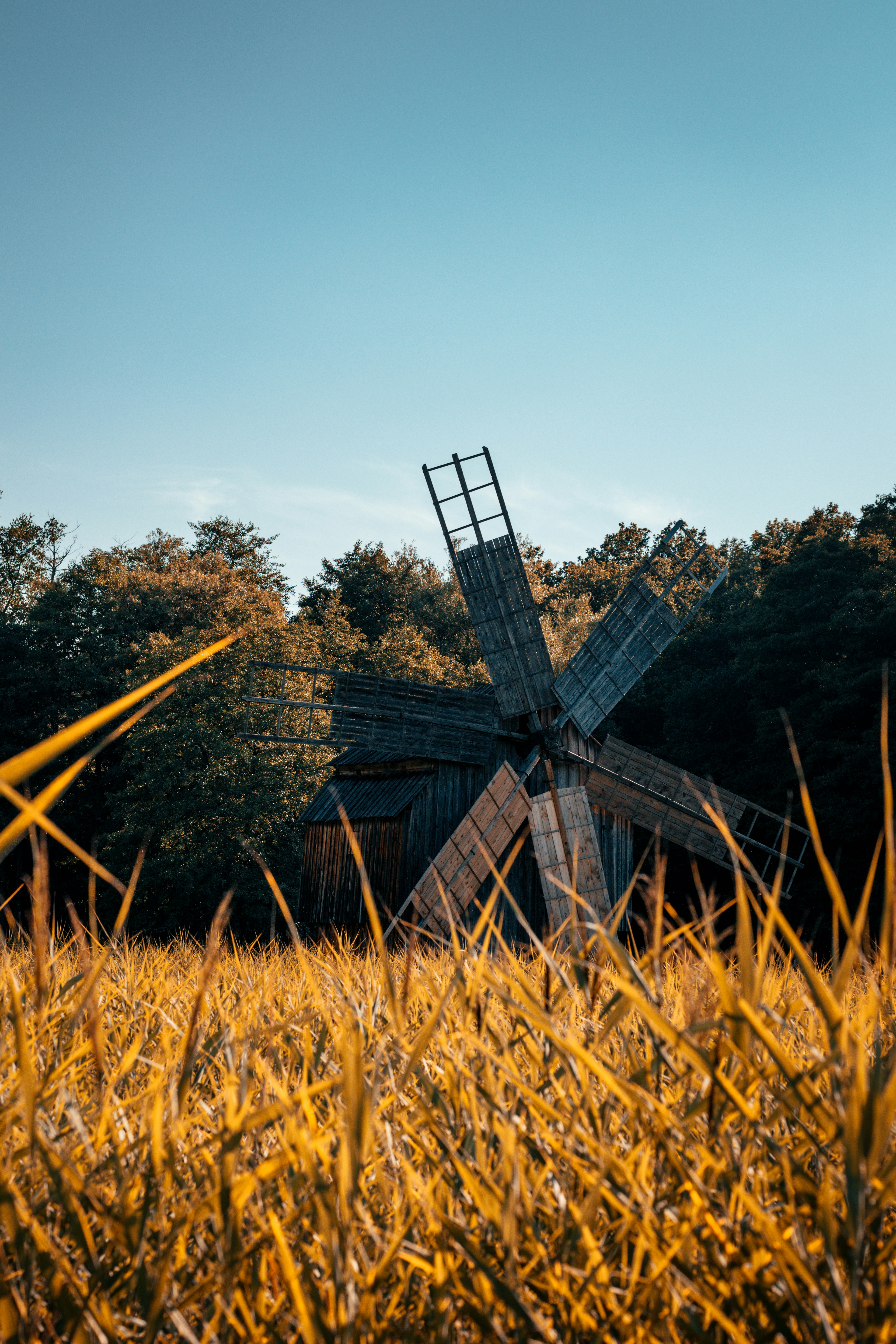 Photo by sebastiandumitru