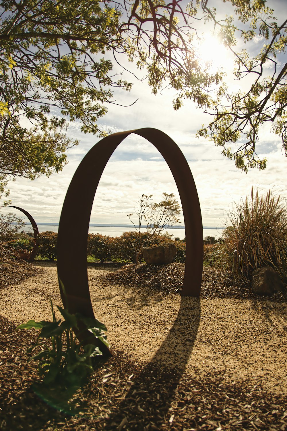 arco en la carretera bajo los árboles