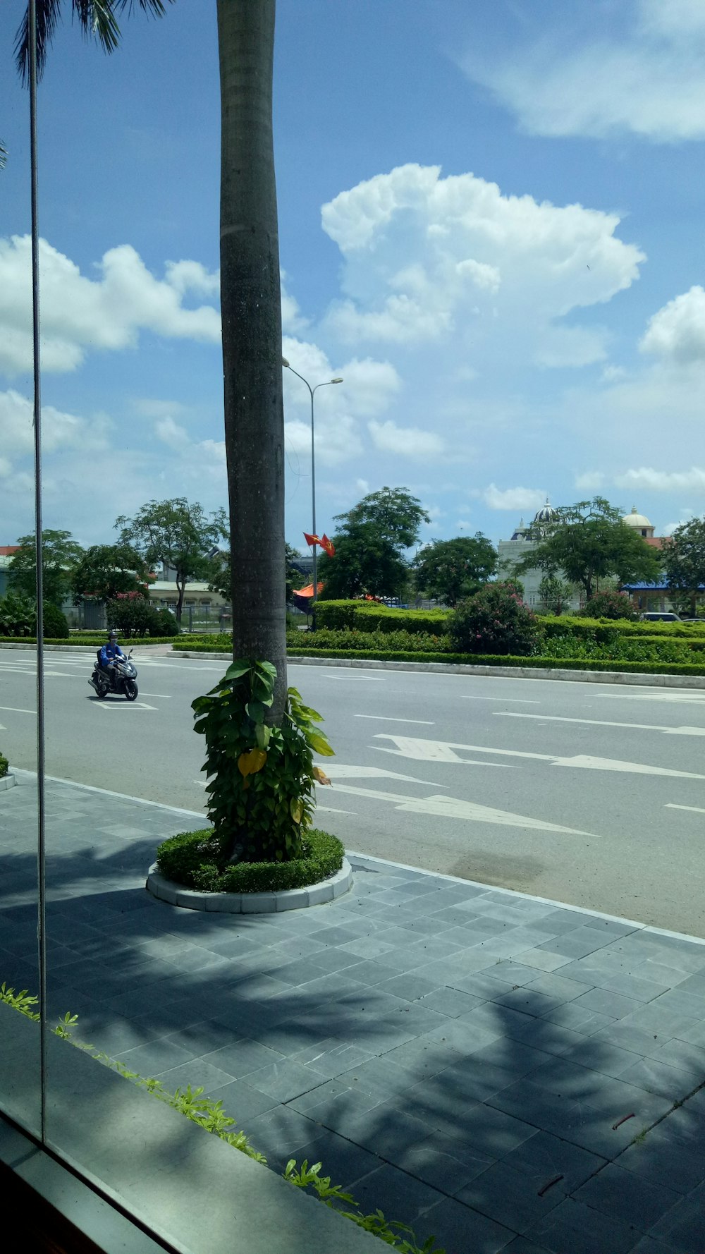 motorcycle on road during daytime