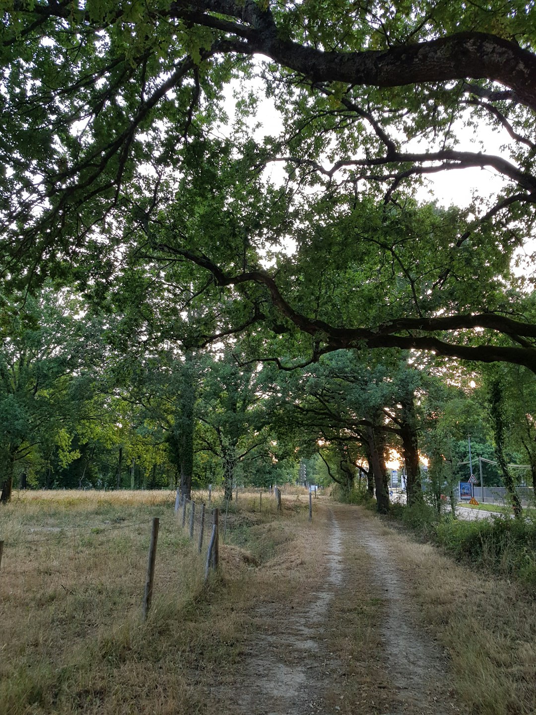 Nature reserve photo spot Avenue du Champ de Manœuvre Saint-Armel