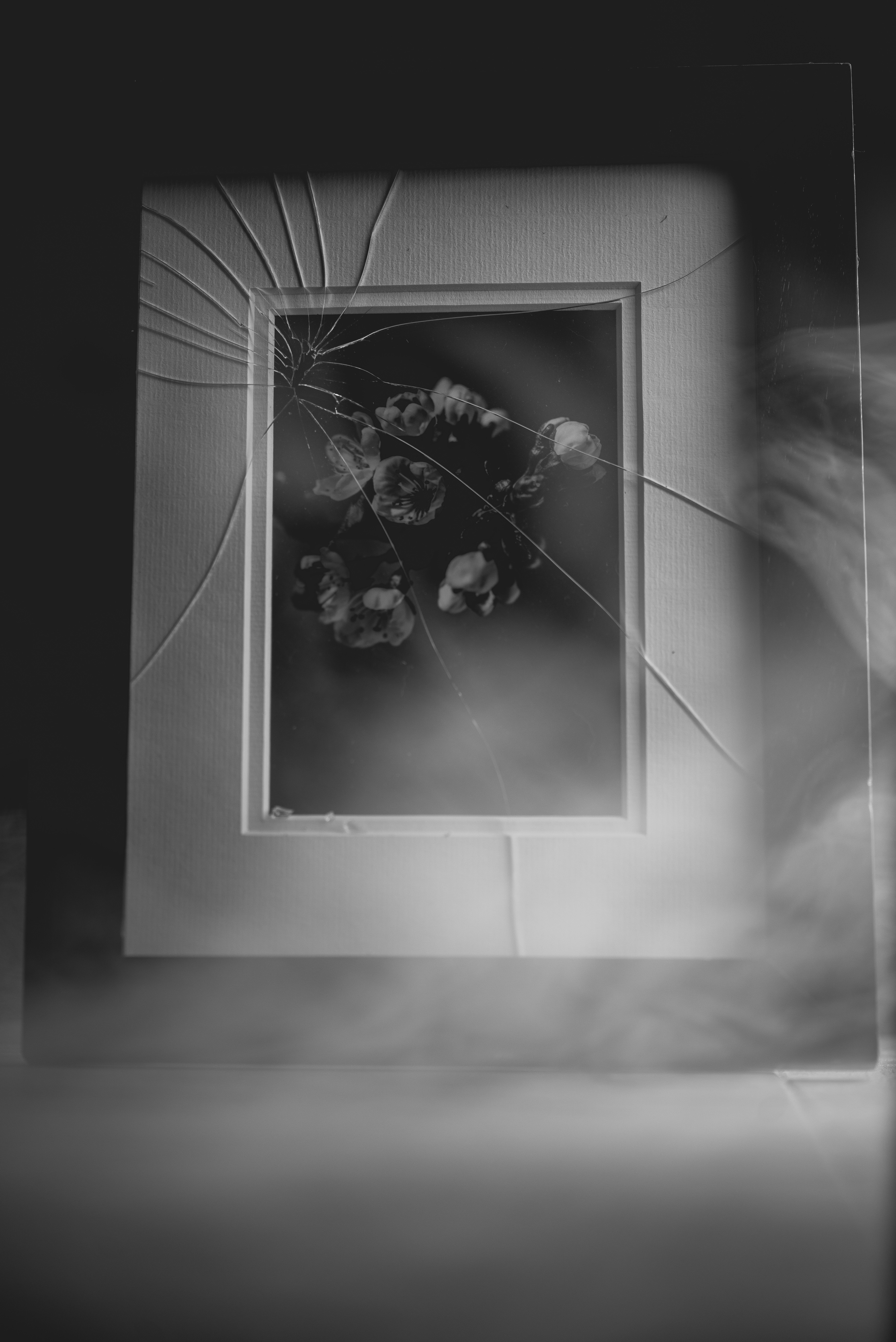 ADAGIO CUSTOM PICTURE FRAMING's image