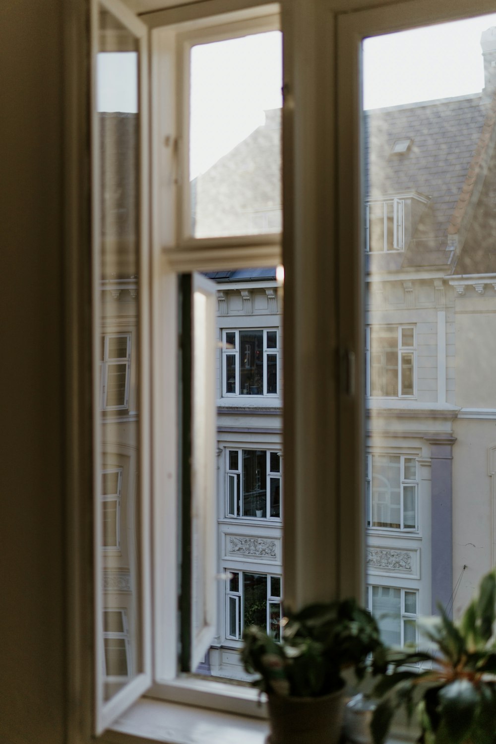 a potted plant sitting on top of a window sill