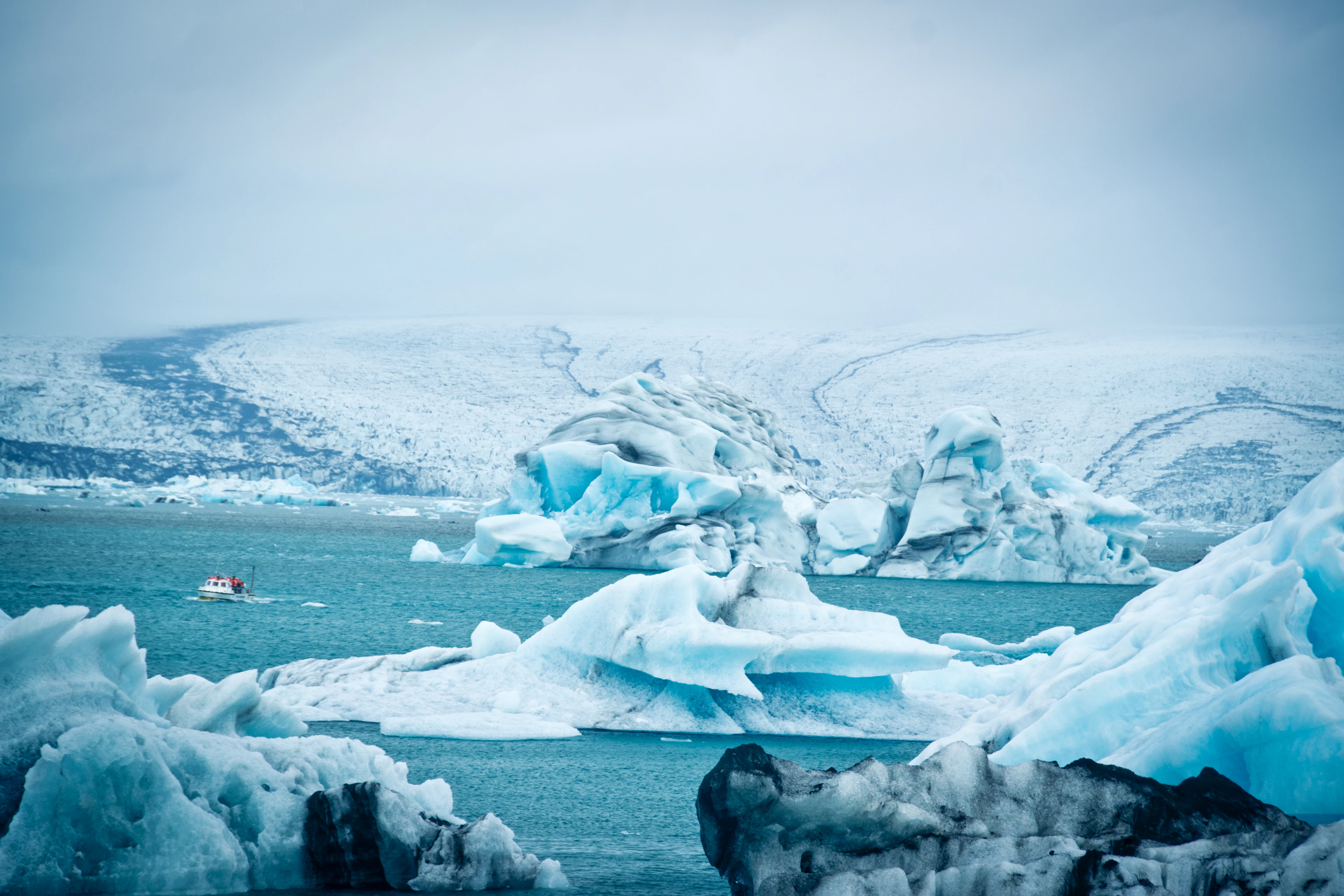 Blue icebergs drift in Jokulsarlon lagoon as a small boat threads between them, glacier behind.