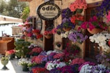 A charming hotel restaurant adorned with vibrant flowering plants in various colors. The outer walls are decorated with numerous potted flowers, creating a lively and welcoming ambiance. There is a wooden cart filled with oranges, adding to the picturesque scene.