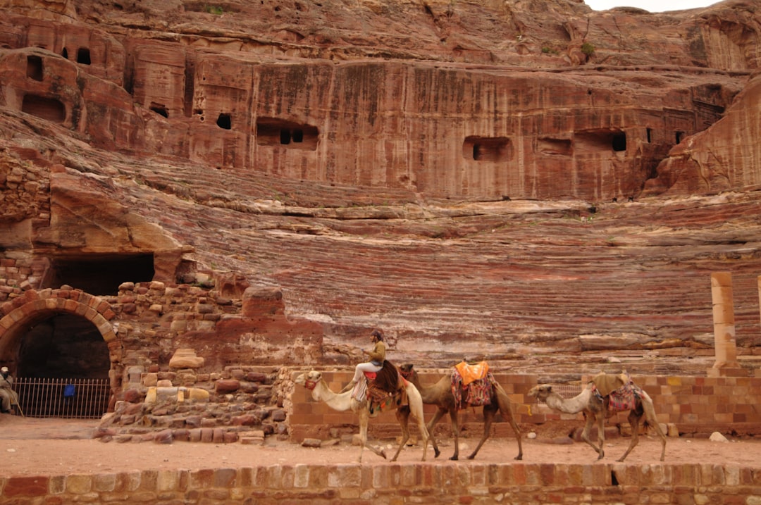 brown camels walking beside brown mountain during daytime