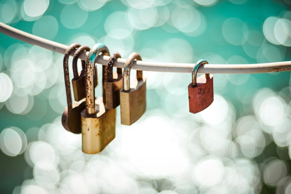 AI Uncovers 20 Security Vulnerabilities: A New Frontier?