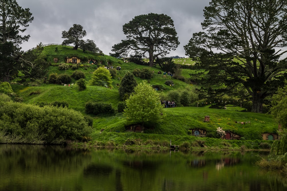 reflection of green trees and grass on body of water